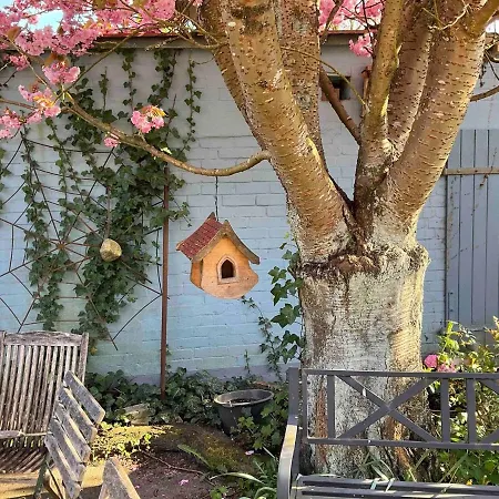 Blaue Haus Vendégház Husum