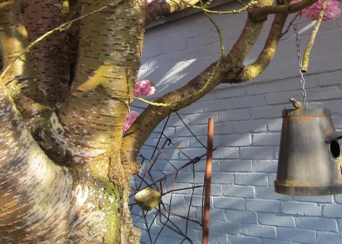 Gasthuis Blaue Haus *