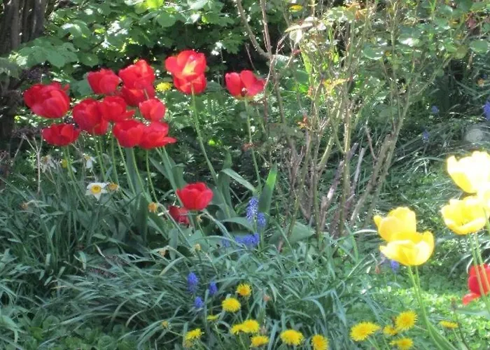 Blaue Haus Vendégház *